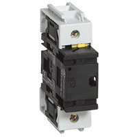 80 A Additional Pole (0172475)