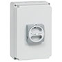 50 A Current, 3 Poles, Enclosed Disconnect Switch with Grey Padlockable Handle (0174261)