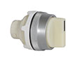 30 mm White 2 Position Momentary Illuminated Chrome Bezel Selector Switch